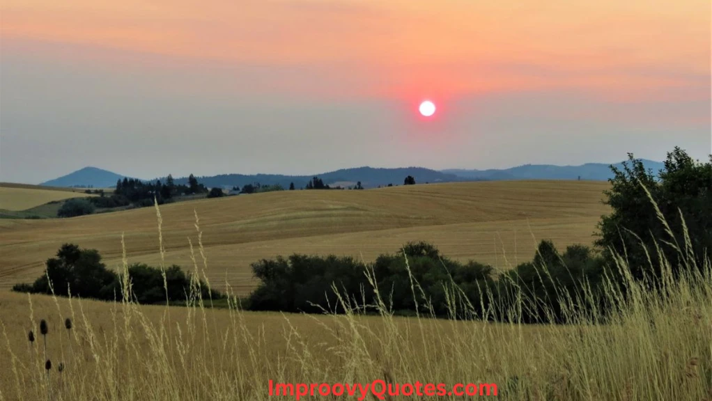 bittersweet-august-ending-quotes